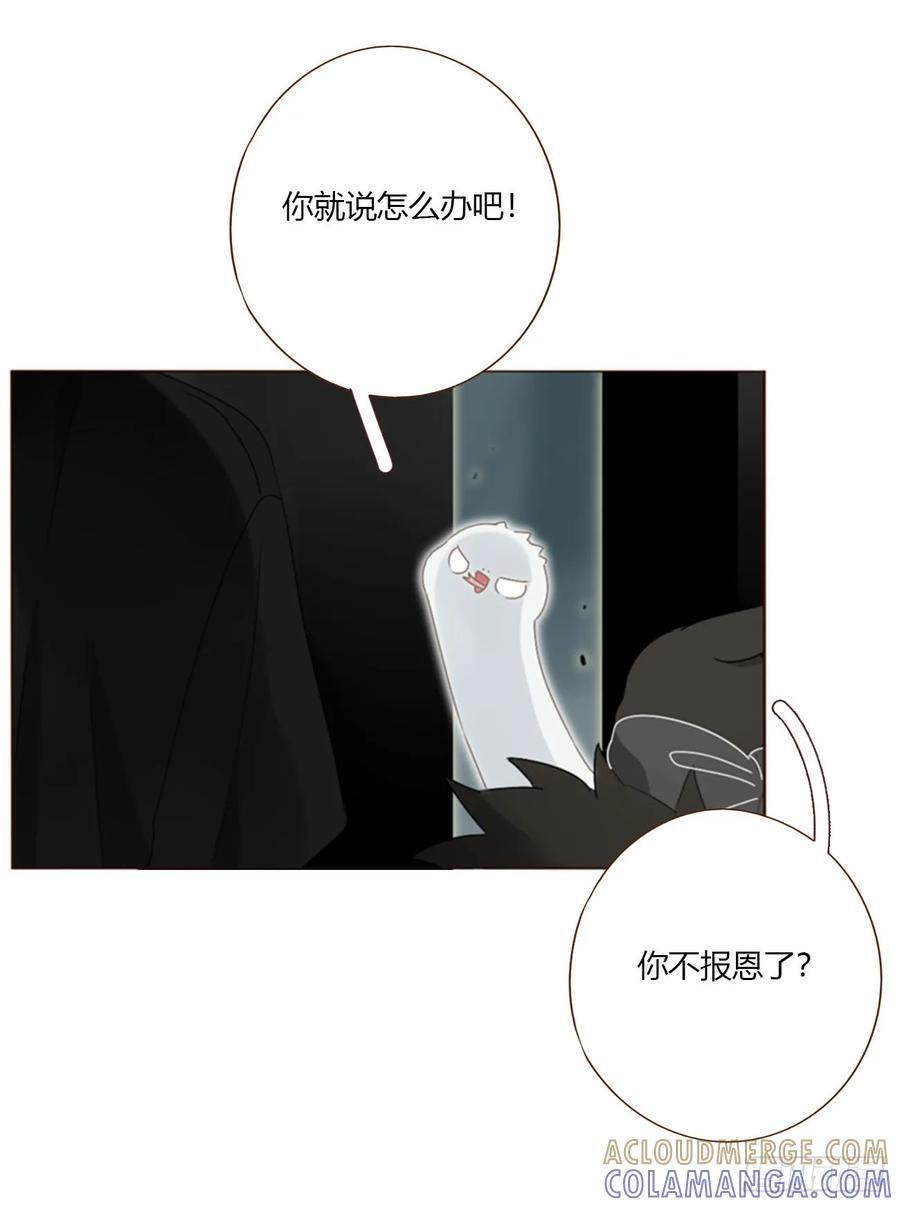 一九八章 陆尤的怨气 第13页