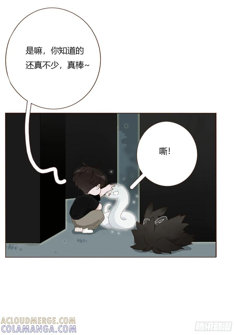 一九八章 陆尤的怨气 第17页