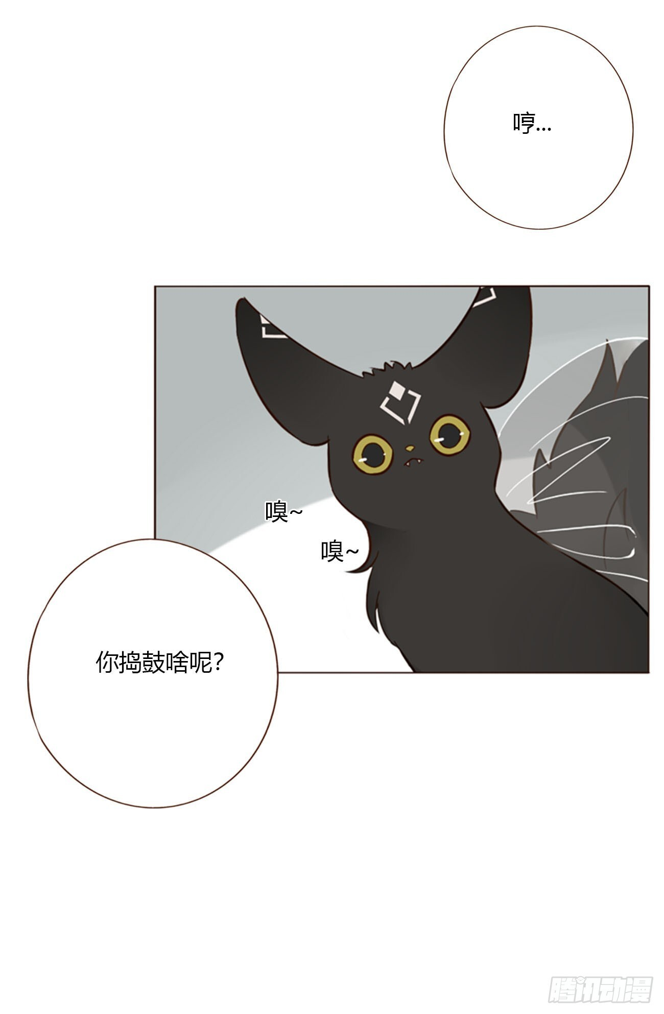 一九九章 妹妹 第41页