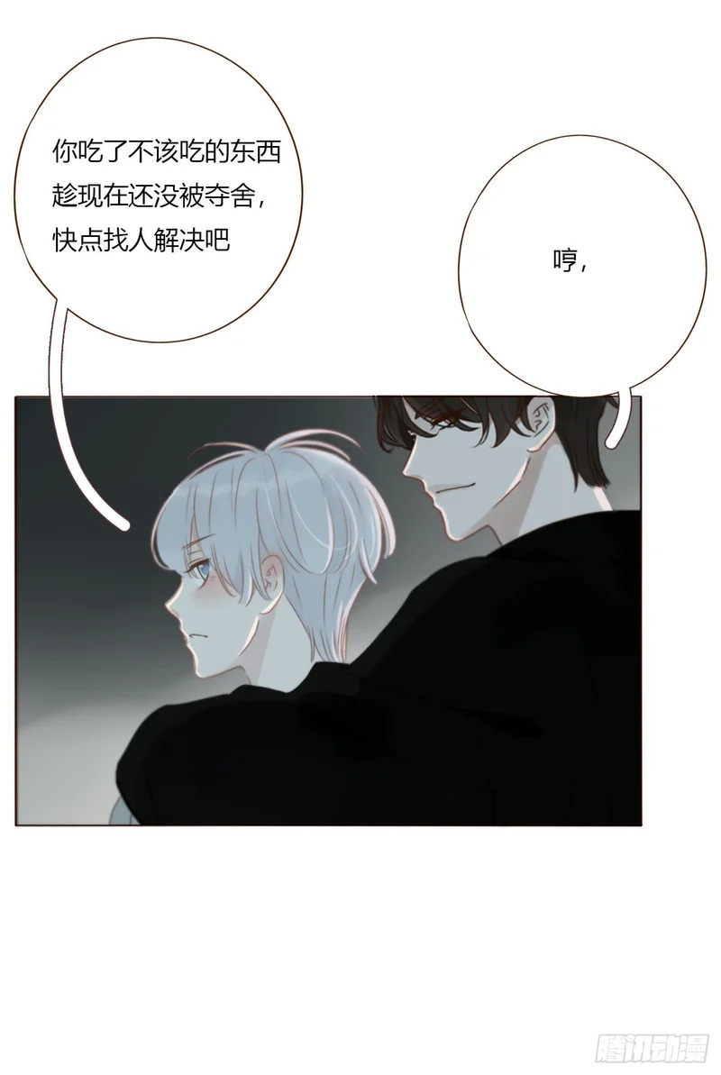 二百零一章 奖励1 第20页