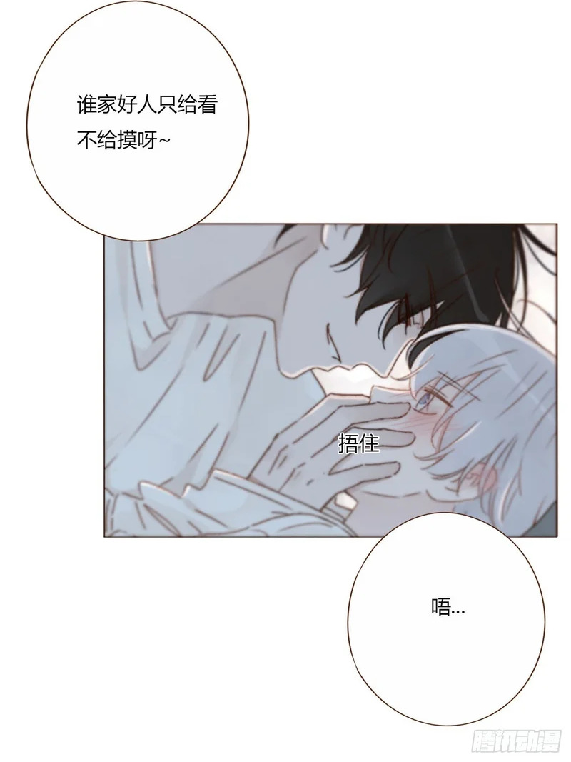 二零二章 奖励2 第13页