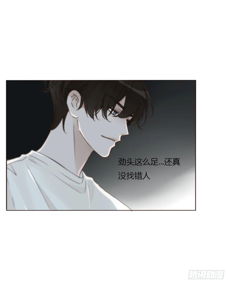 二百零三章 魂药 第4页