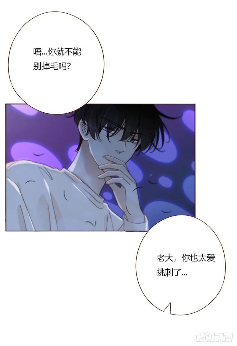 二百零三章 魂药 第18页