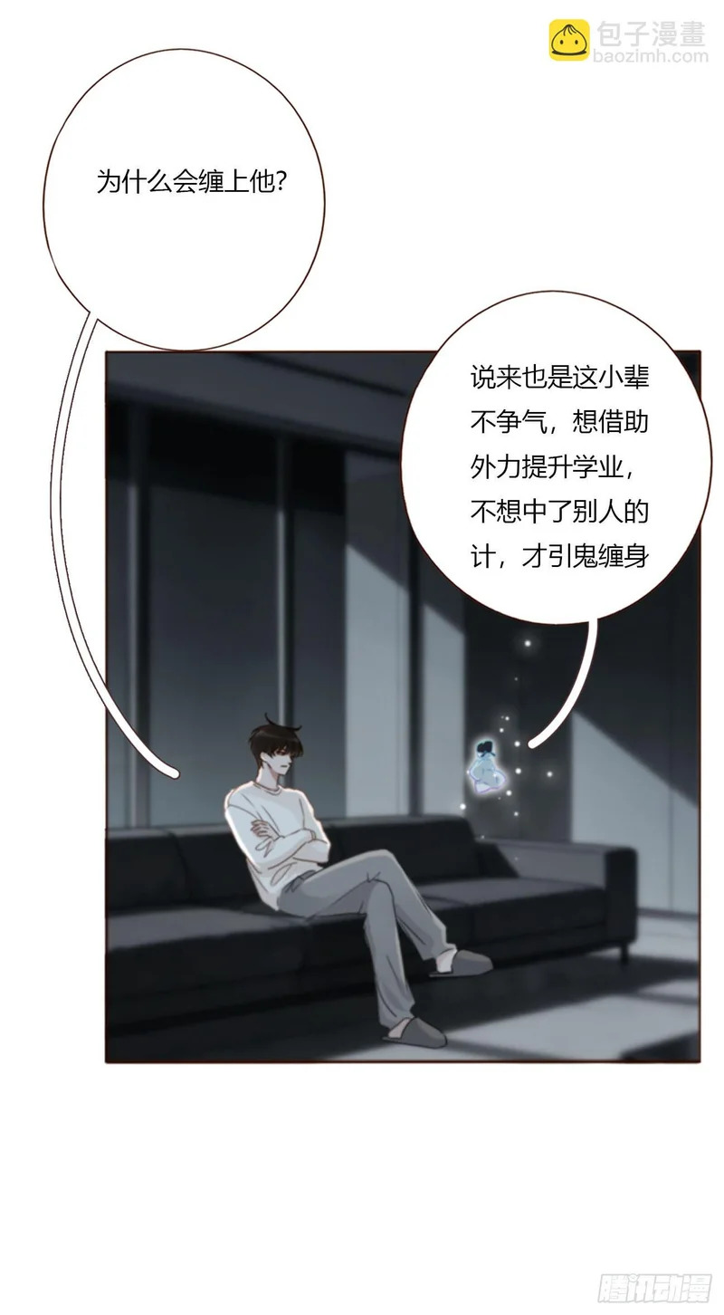 二百零三章 魂药 第29页