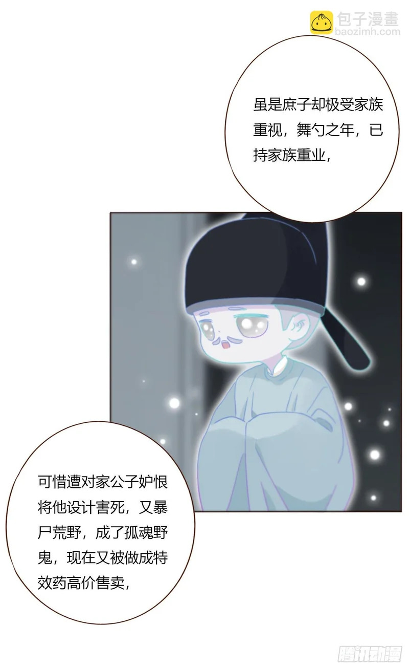二百零三章 魂药 第35页