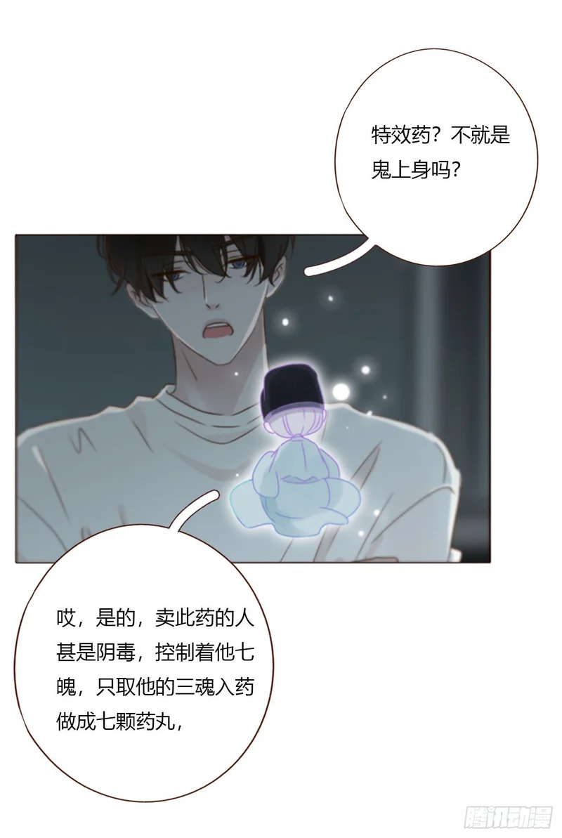 二百零三章 魂药 第36页