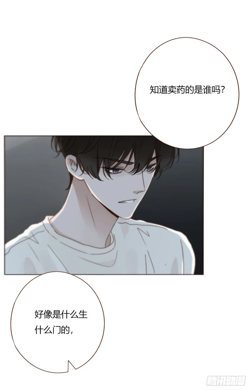 二百零三章 魂药 第38页