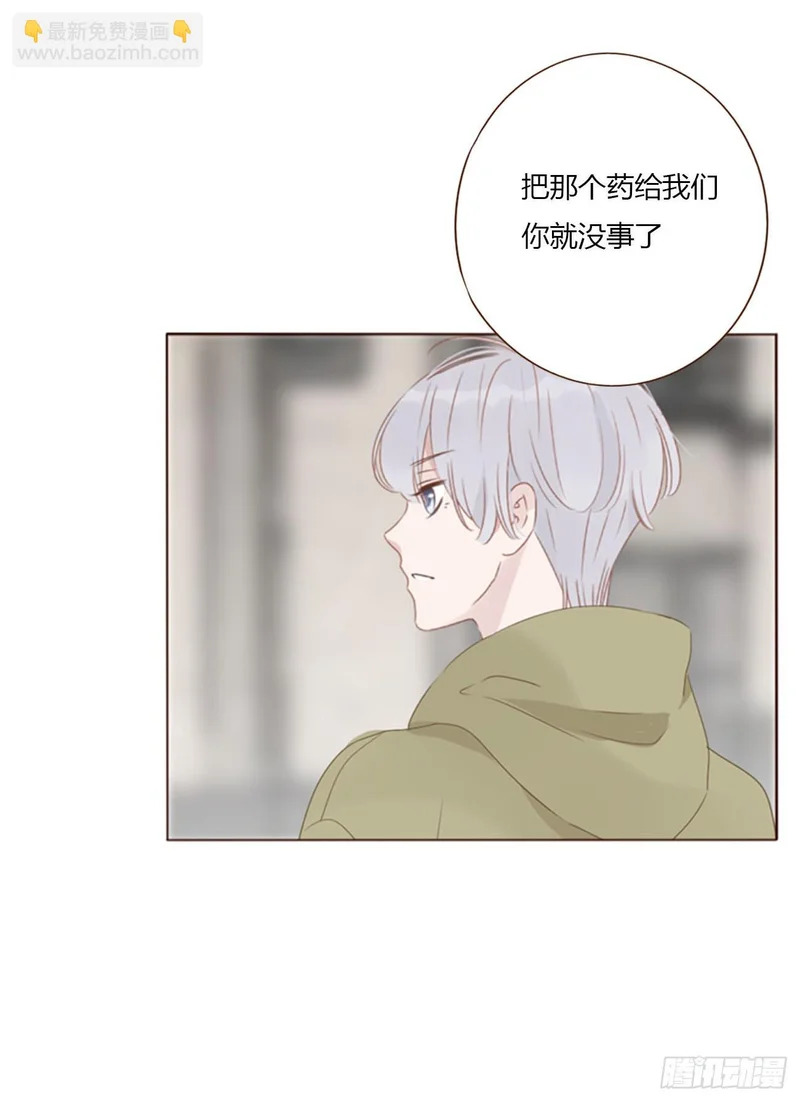 二百零四章 都广神木 第29页