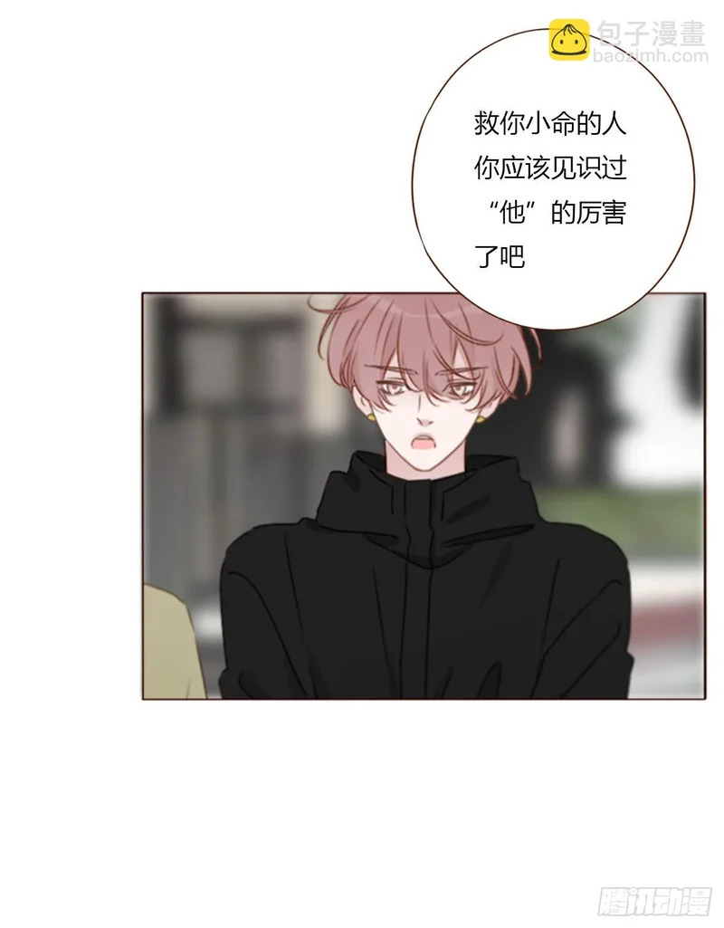 二百零四章 都广神木 第31页