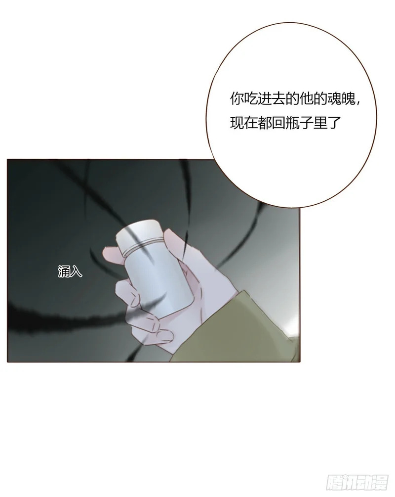 二百零五章 准备动手了 第4页