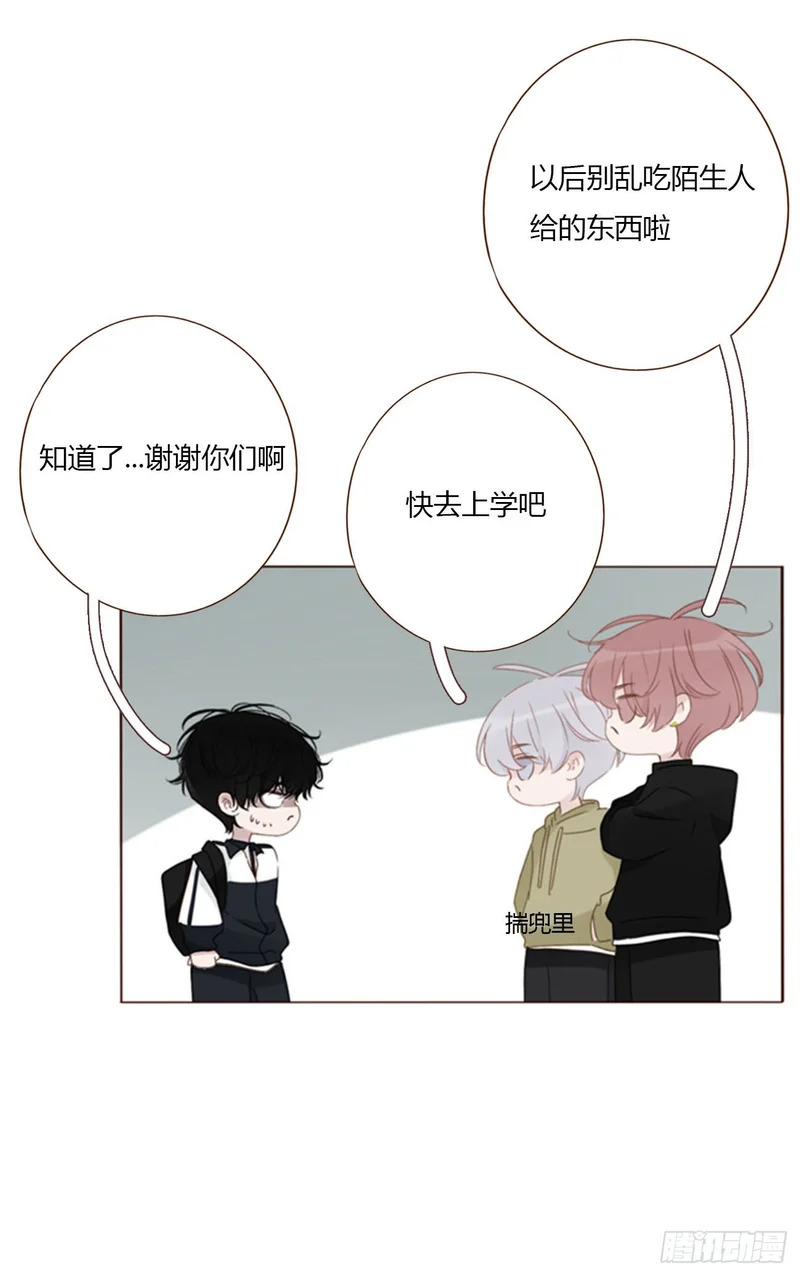 二百零五章 准备动手了 第5页