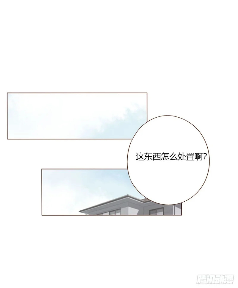二百零五章 准备动手了 第6页