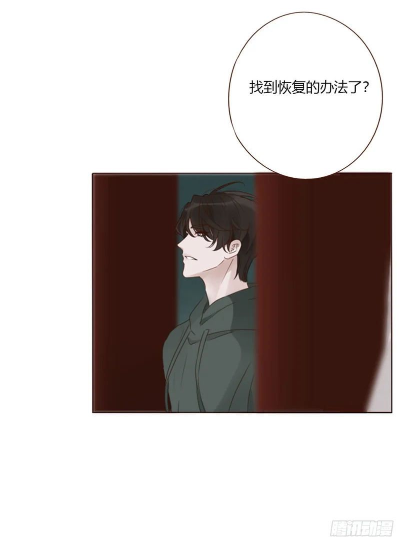 二百零五章 准备动手了 第11页