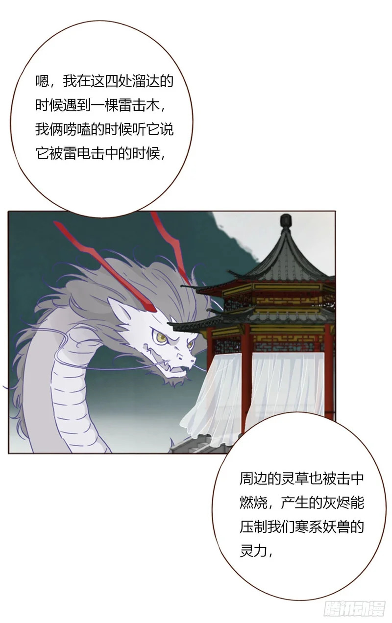 二百零五章 准备动手了 第12页