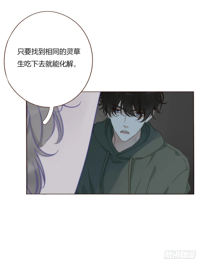 二百零五章 准备动手了 第13页