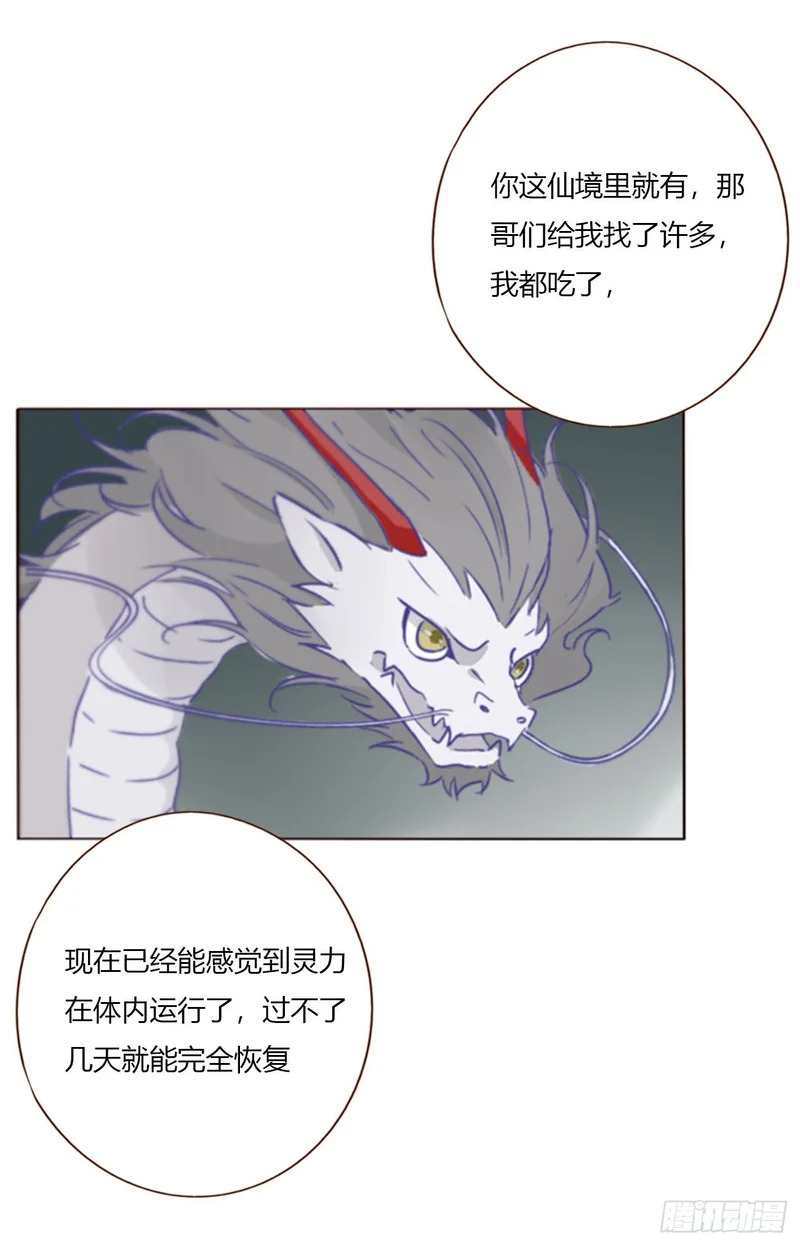 二百零五章 准备动手了 第14页