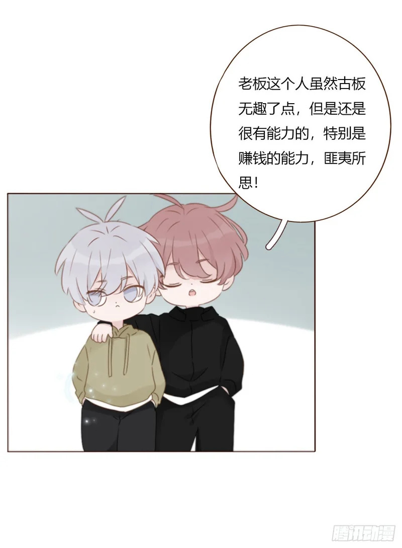 二百零五章 准备动手了 第16页