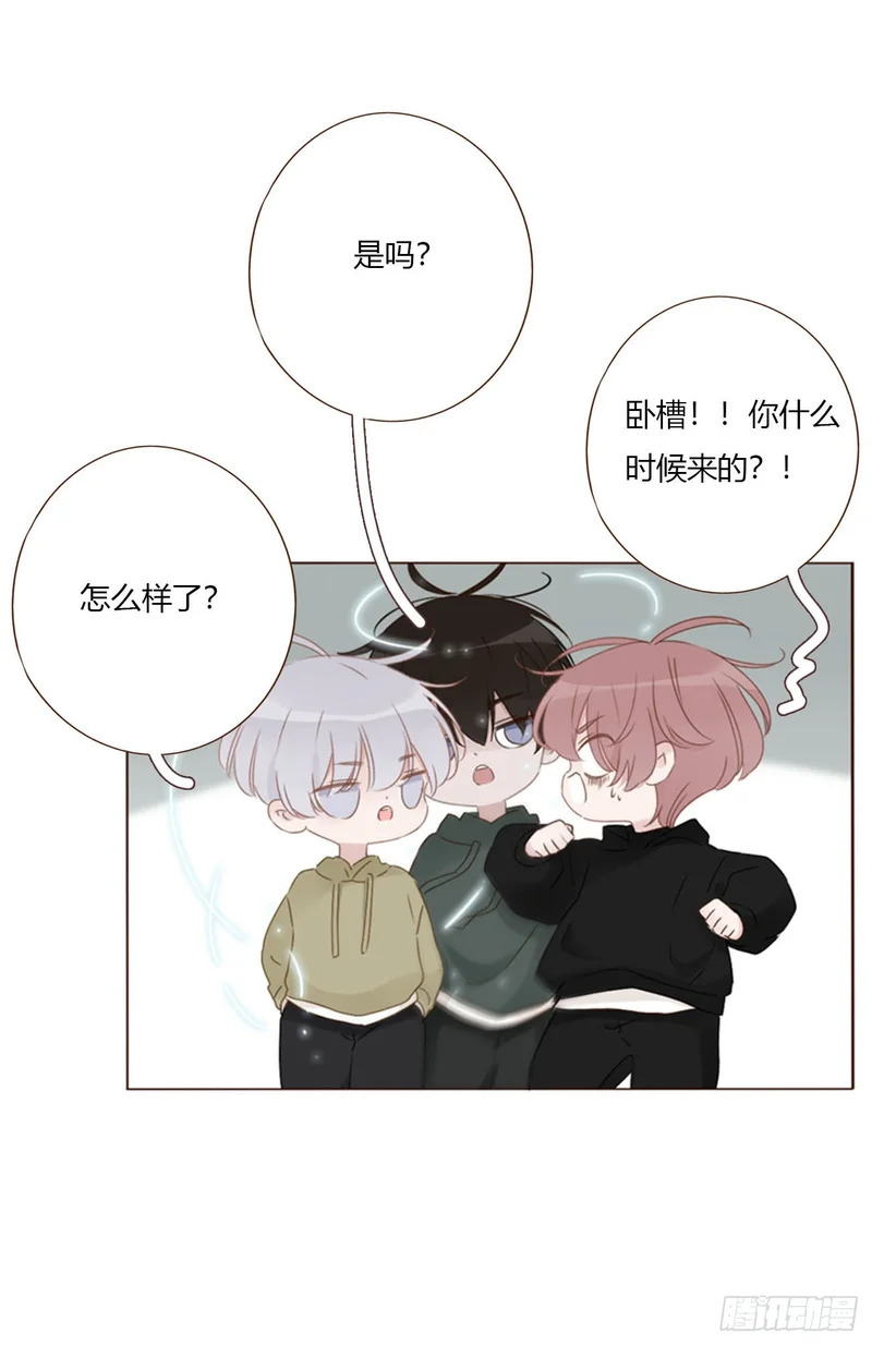 二百零五章 准备动手了 第17页