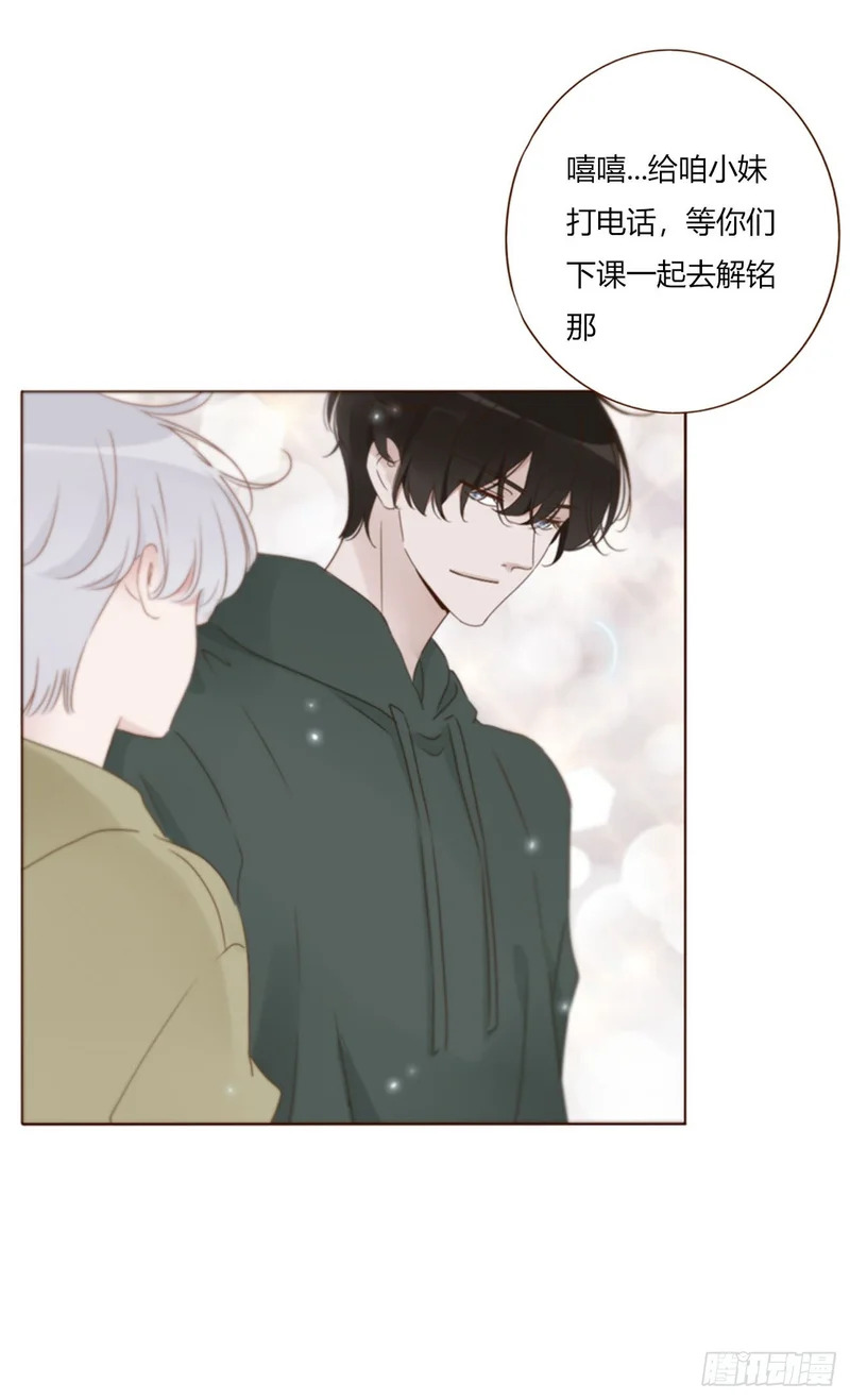 二百零五章 准备动手了 第18页