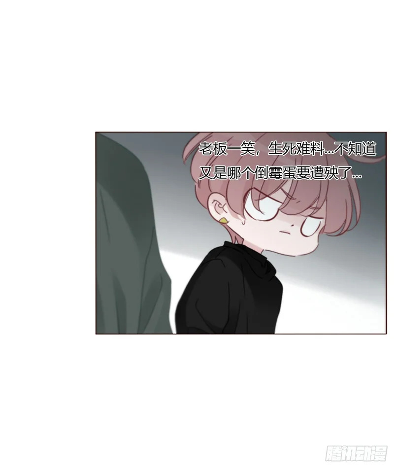 二百零五章 准备动手了 第19页