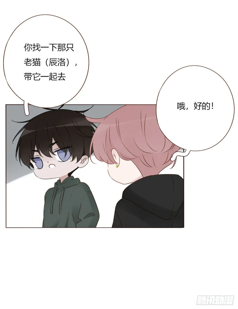 二百零五章 准备动手了 第20页