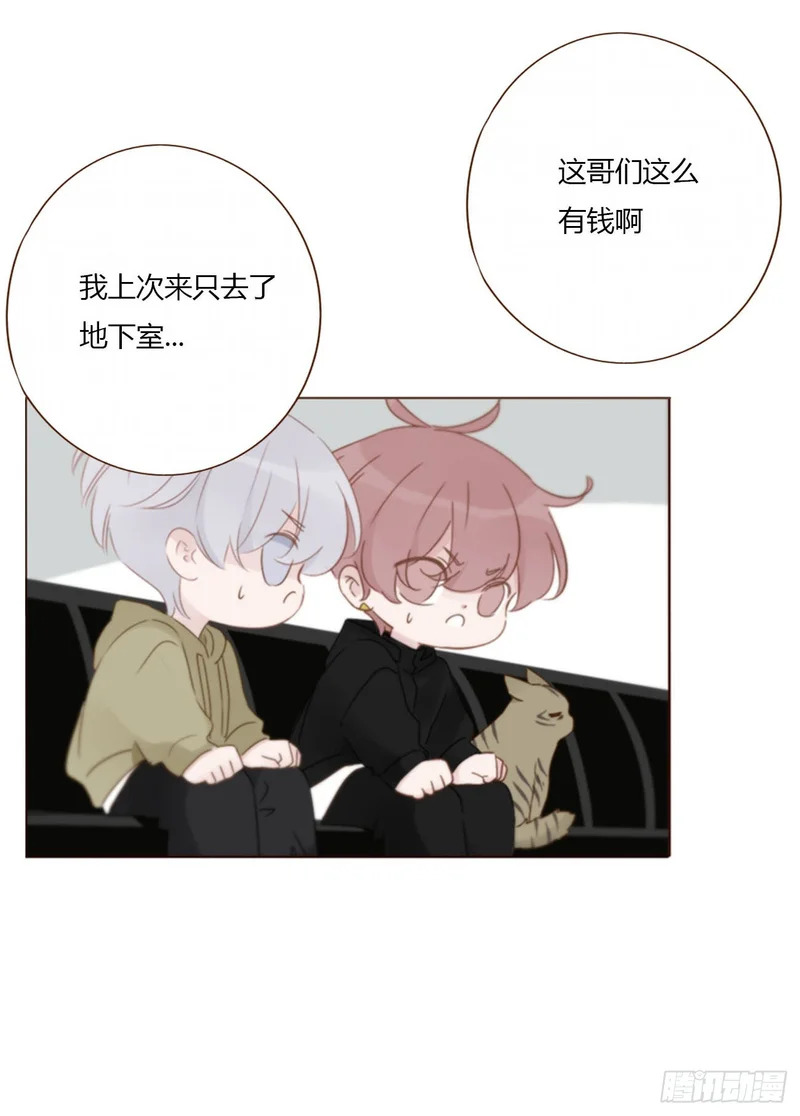 二百零五章 准备动手了 第24页