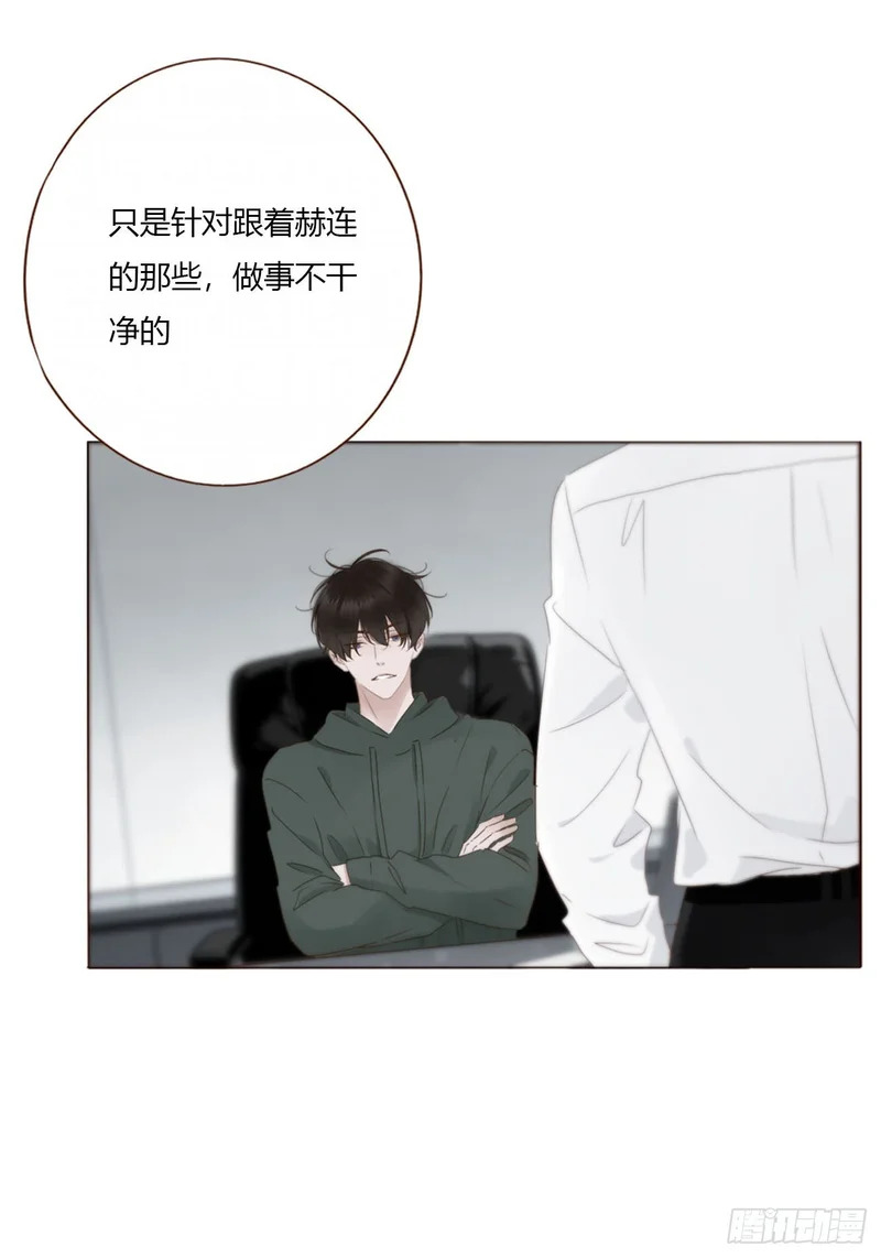 二百零五章 准备动手了 第27页
