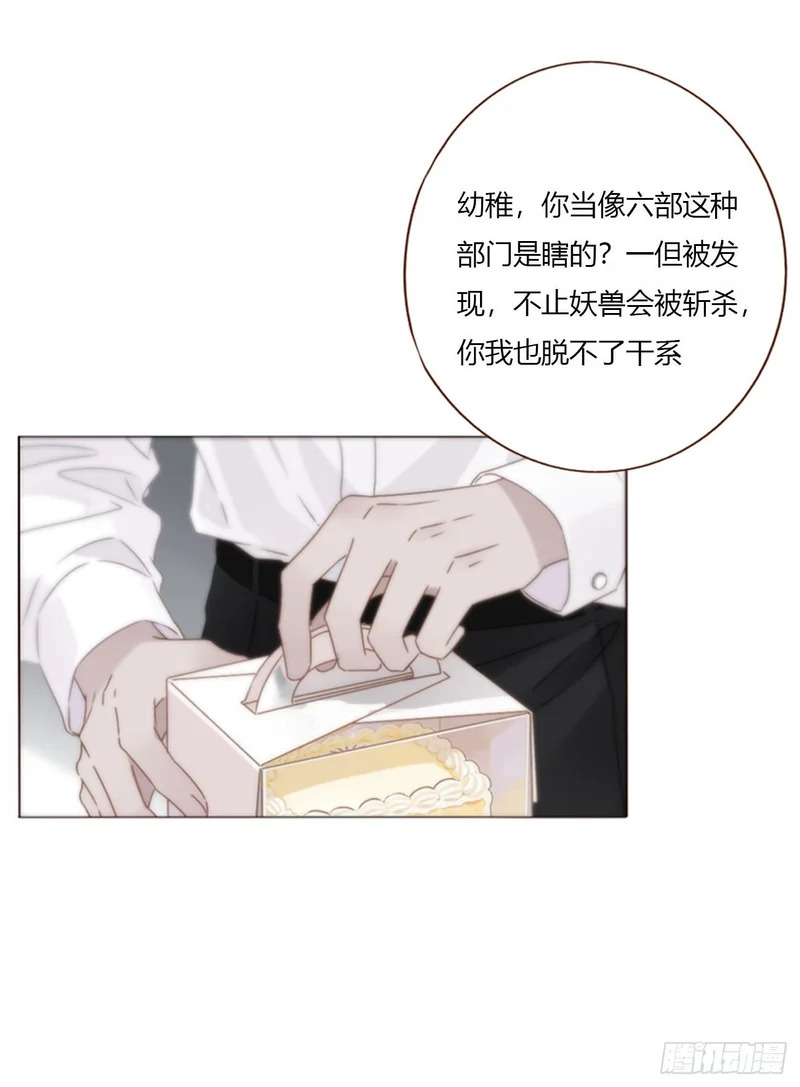 二百零五章 准备动手了 第28页