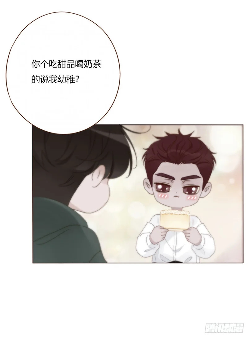 二百零五章 准备动手了 第29页
