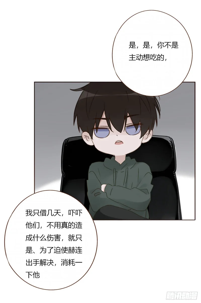 二百零五章 准备动手了 第31页