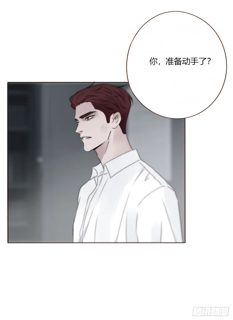二百零五章 准备动手了 第32页