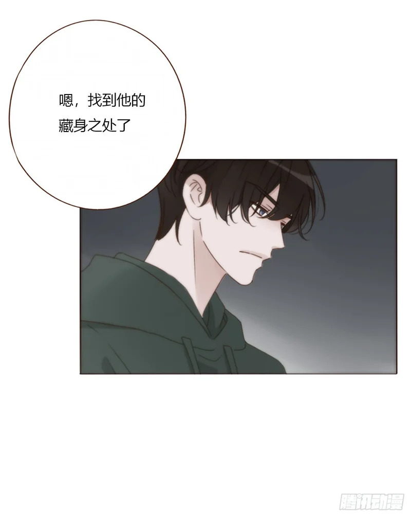 二百零五章 准备动手了 第33页