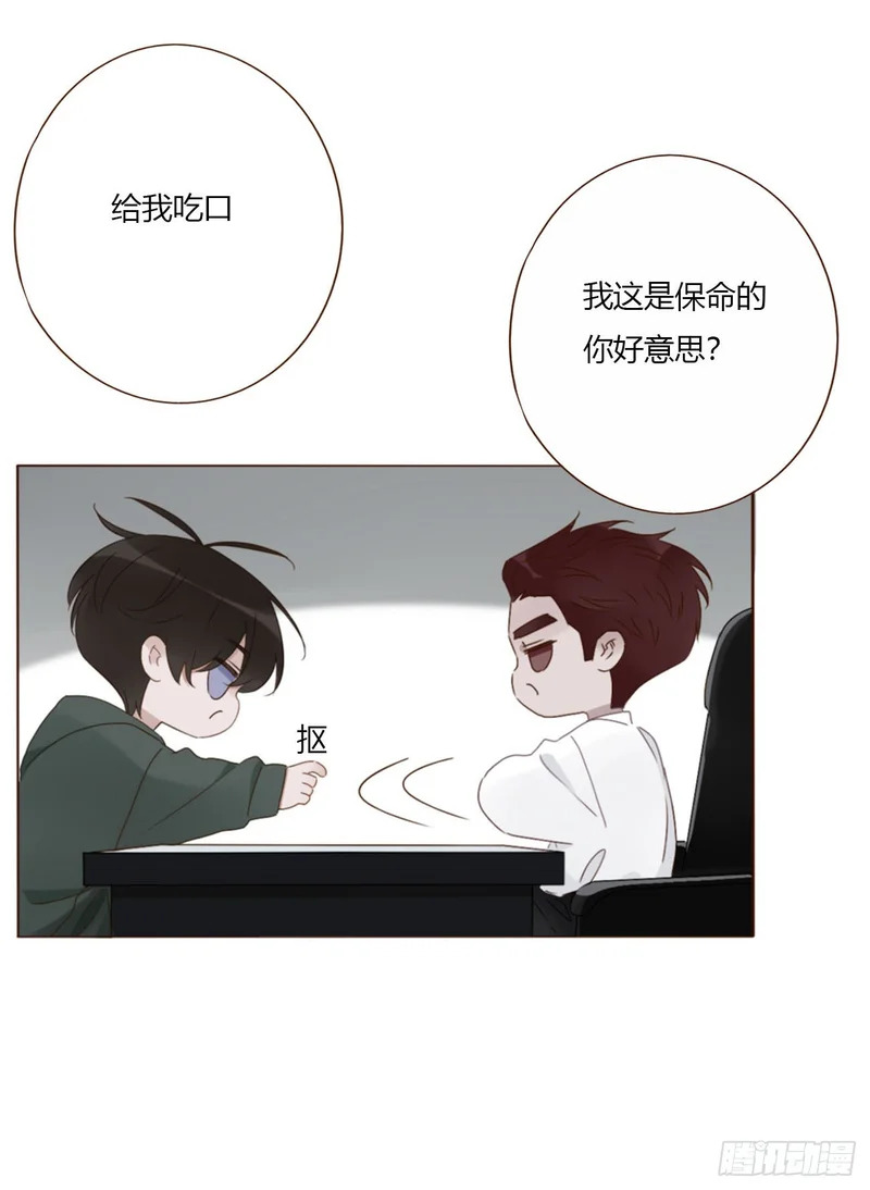 二百零五章 准备动手了 第34页