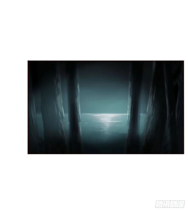 二百零五章 准备动手了 第37页