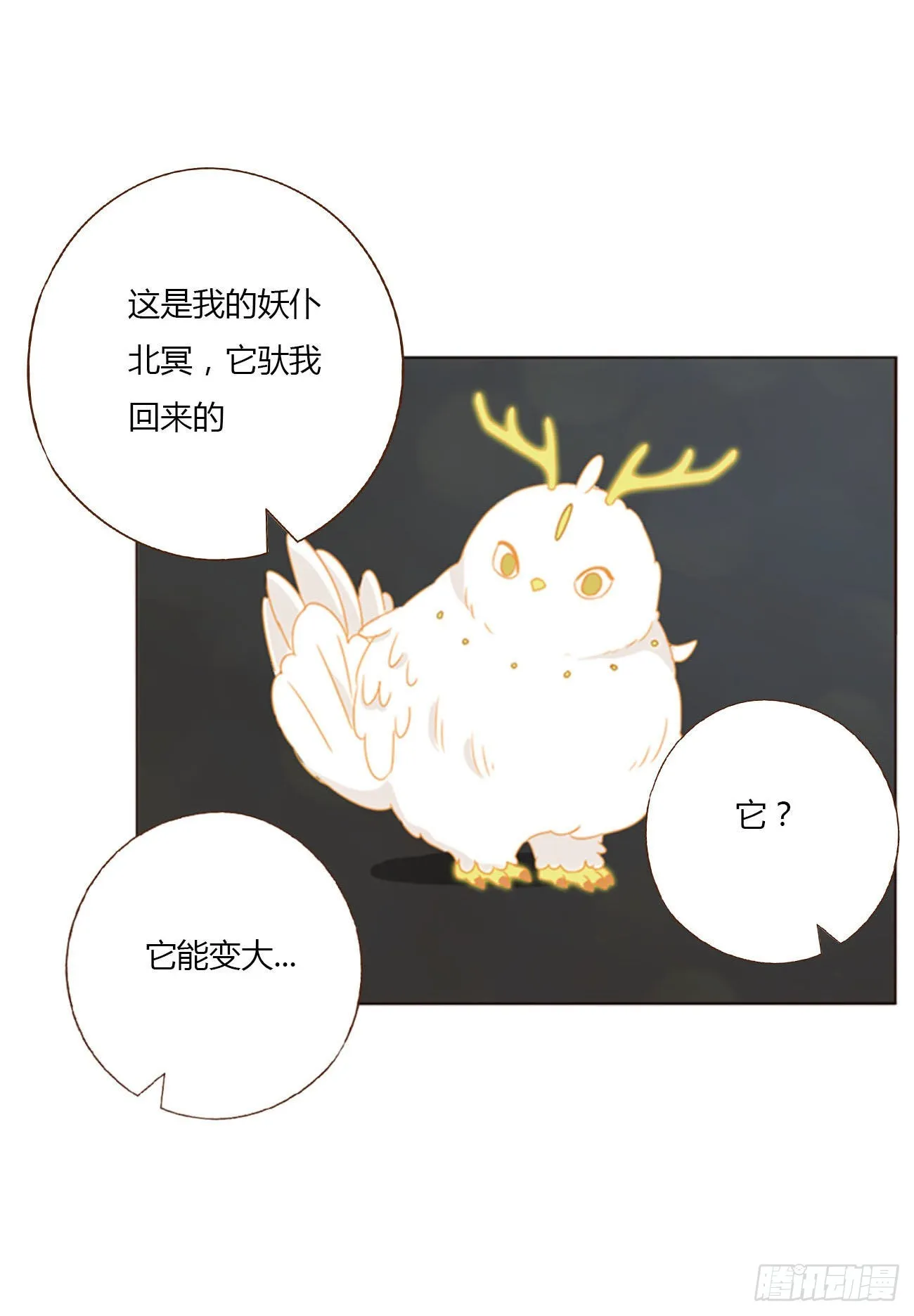 五十四章 喜欢你 第13页