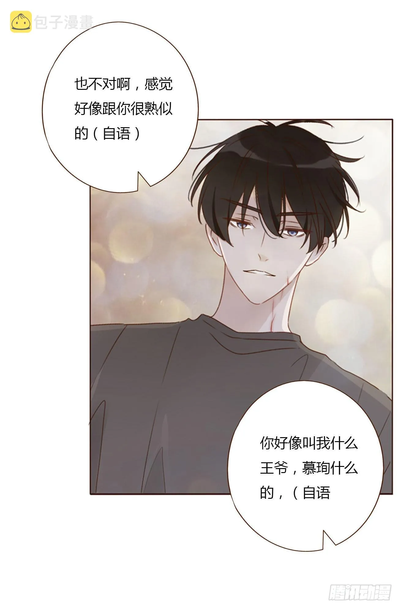 五十二章 前世 第29页
