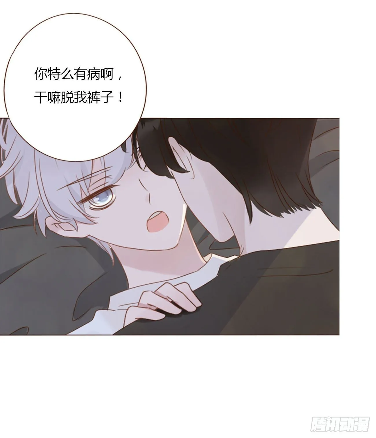 二十九章 记忆 第5页