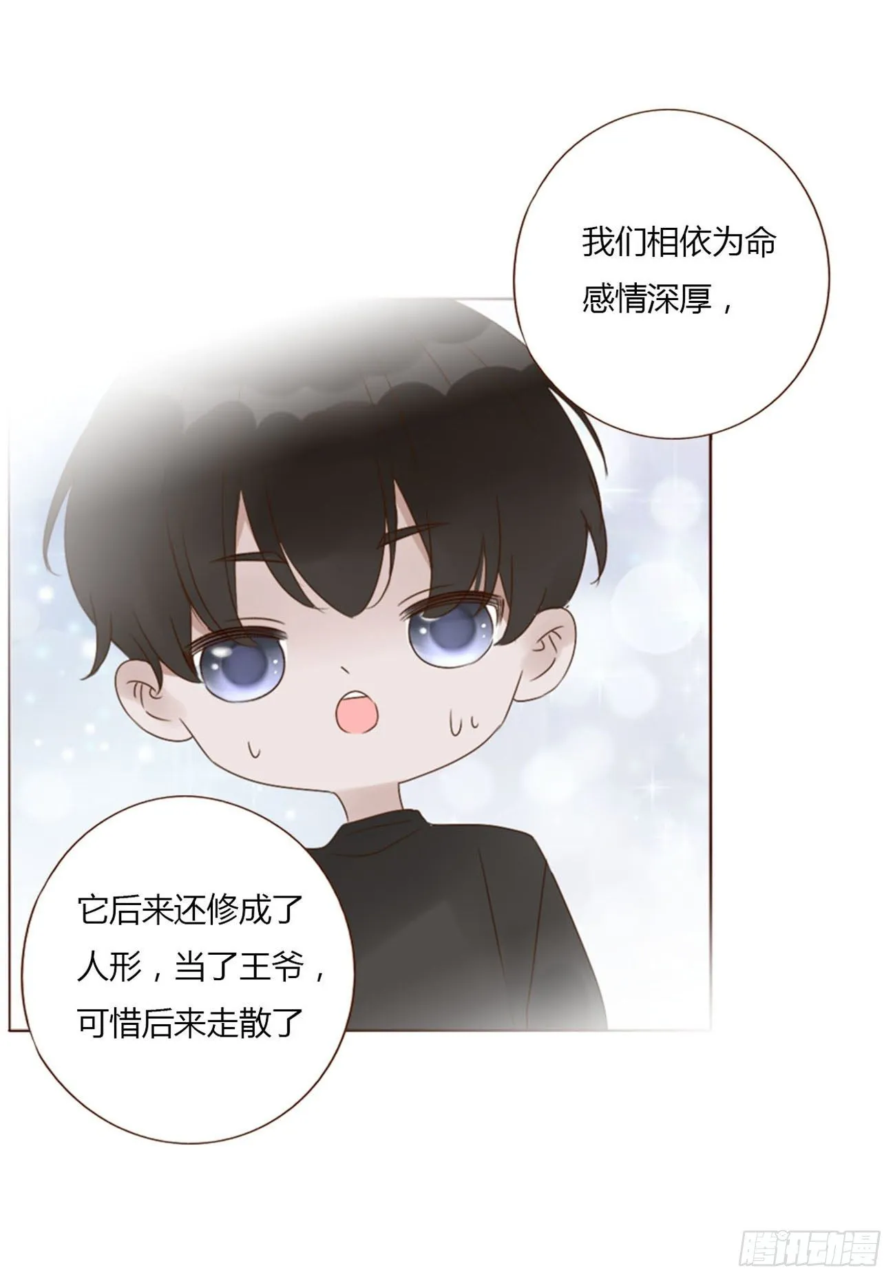 二十九章 记忆 第29页