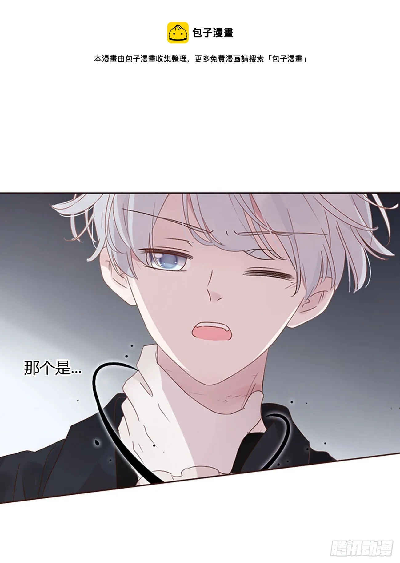 三十章 遇袭 第17页
