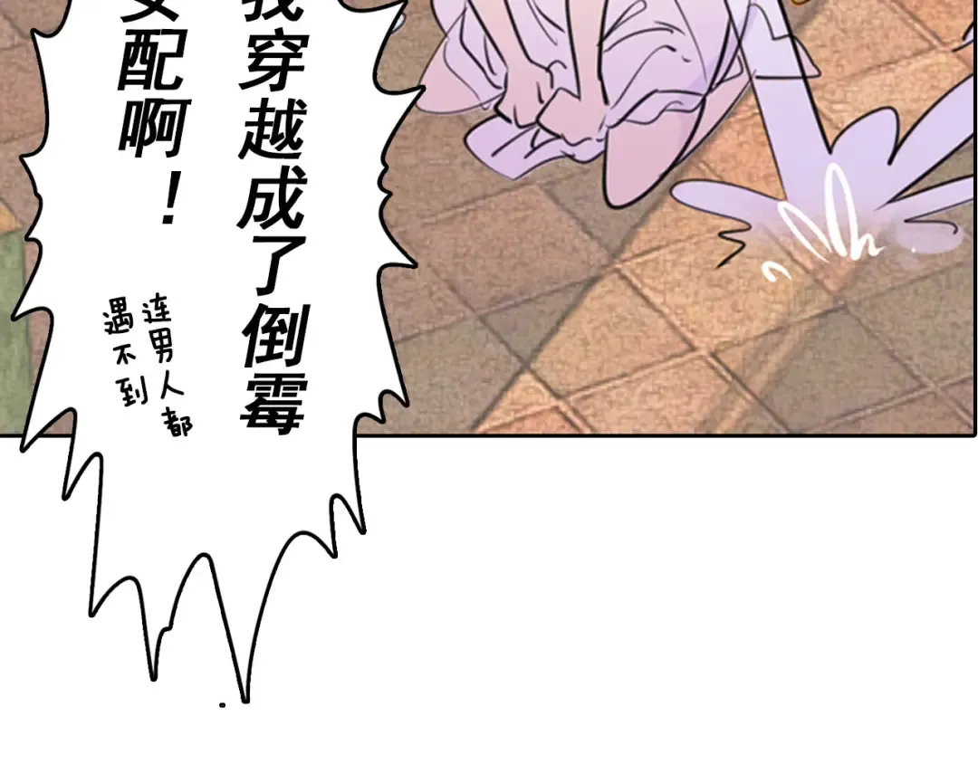 序章 华丽女配爆笑来袭 第27页