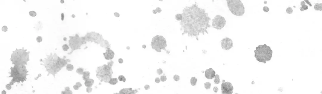 第53话 狗血的故事 第78页