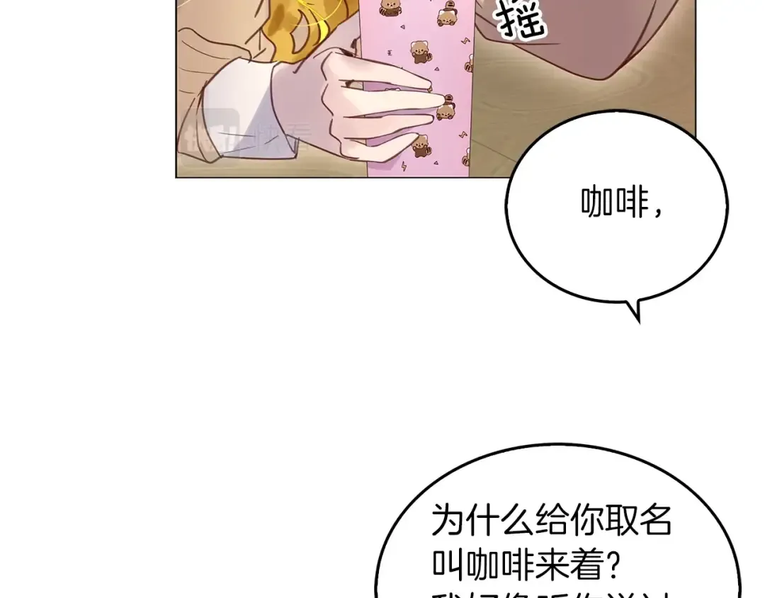 番外31 网络小说之花1 第21页