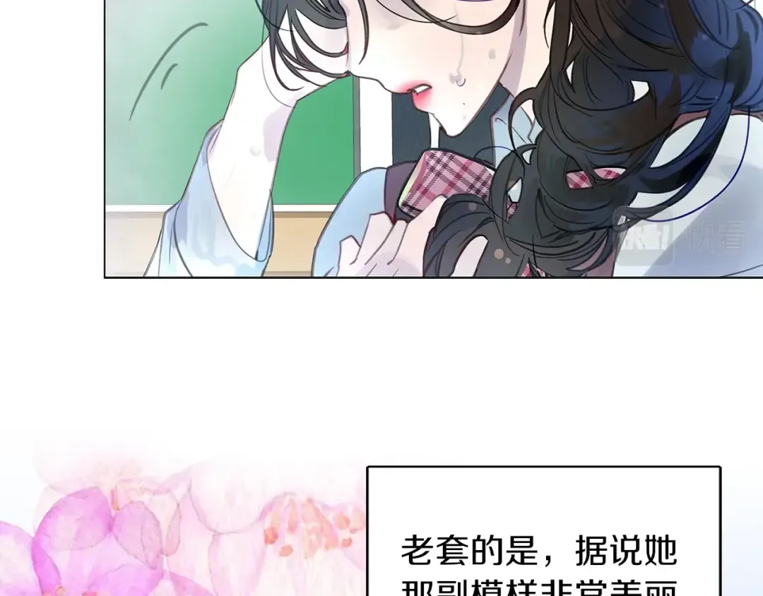 番外35 网络小说之花5 第31页