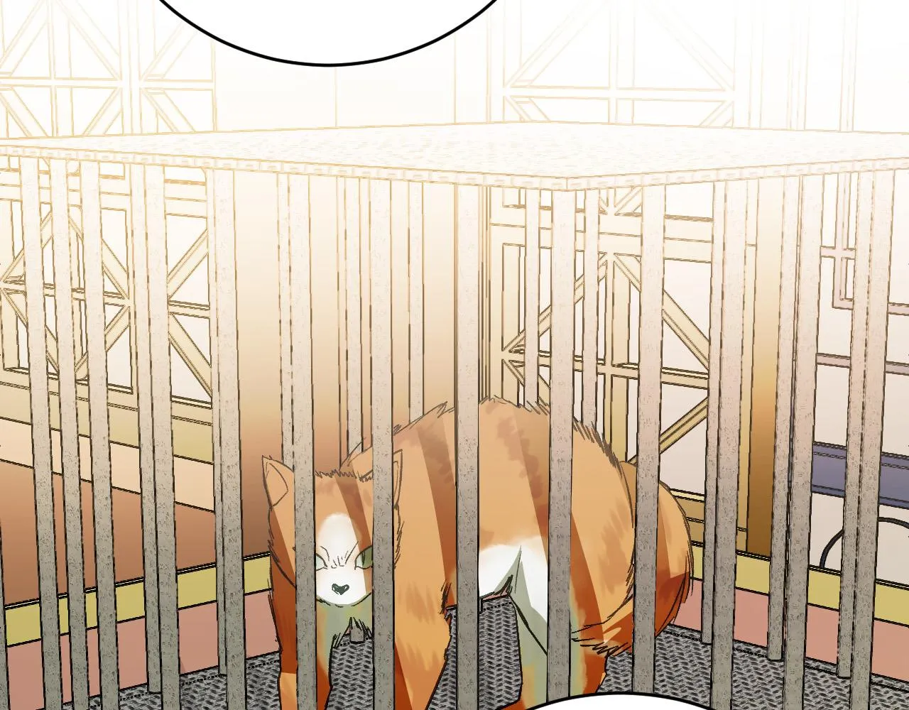 第99话 假如能重来… 第118页