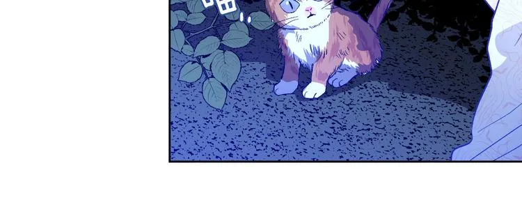 第44话 私会 第11页