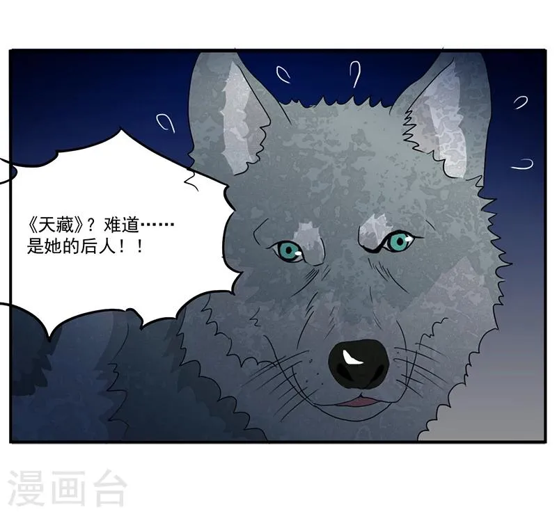 第7话 天藏藏天 第12页