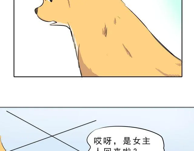 第10话 女主人竟然要把我送走！ 第27页