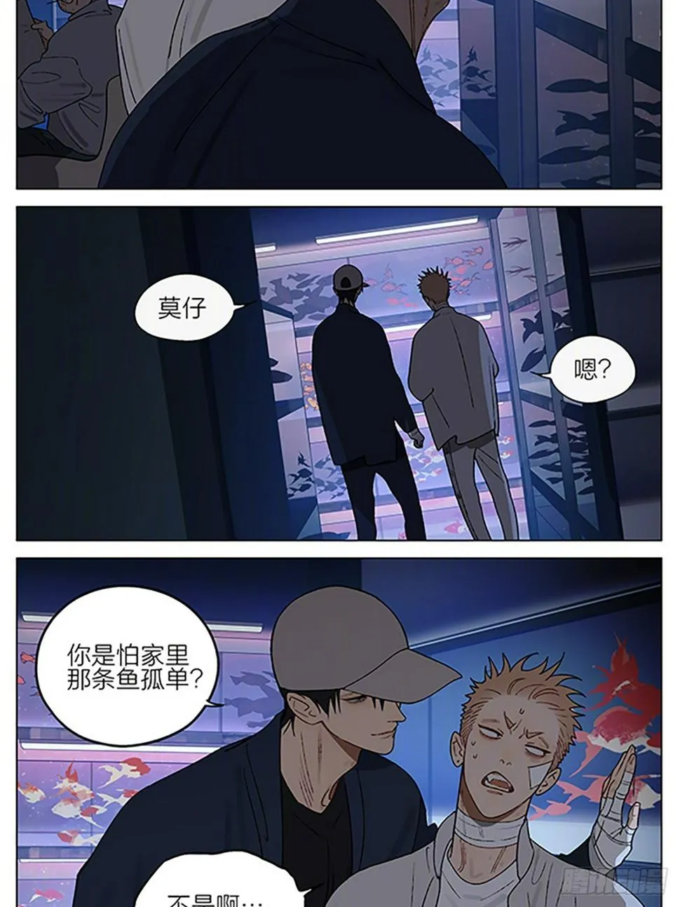 金鱼店 第3页