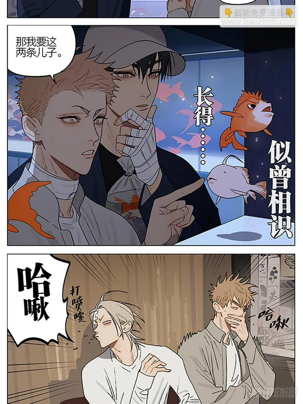 金鱼店 第6页