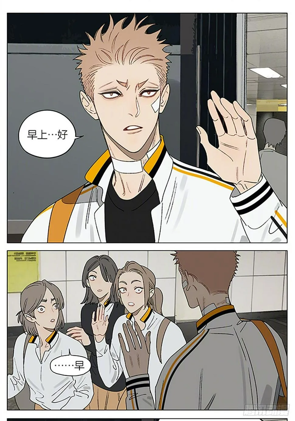 茶叶 第1页